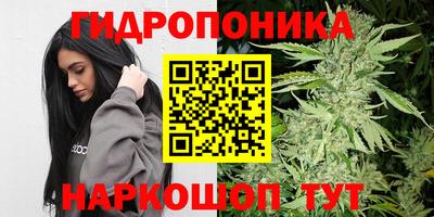 марихуана Будённовск