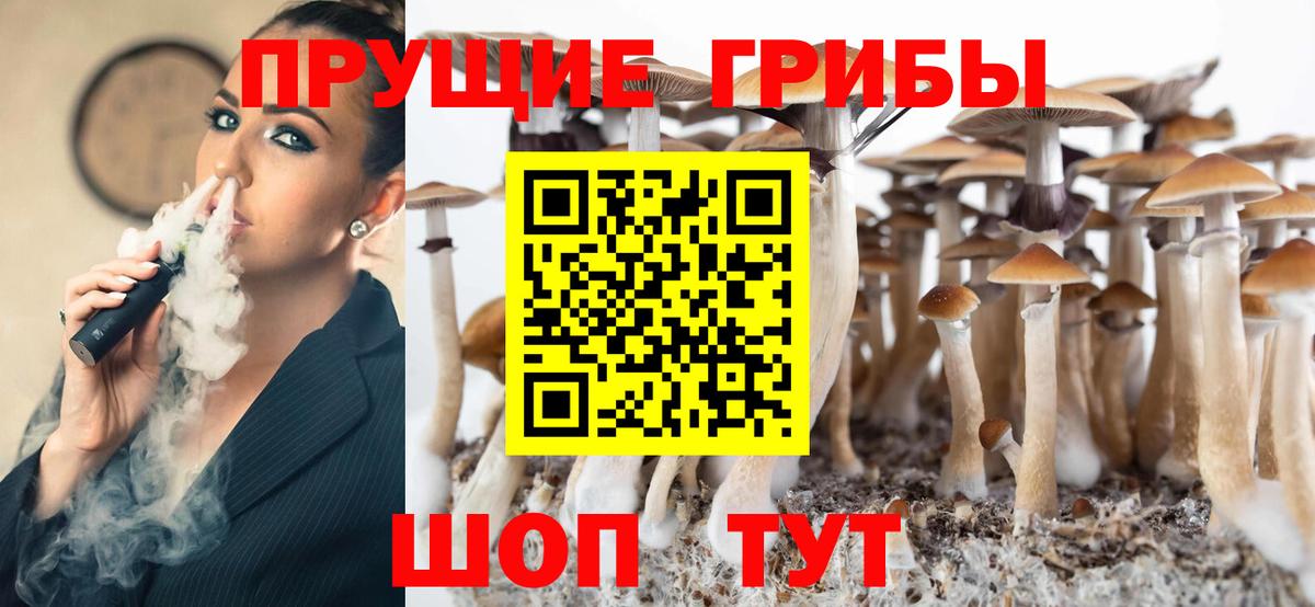 Псилоцибиновые грибы MAGIC MUSHROOMS Петрозаводск