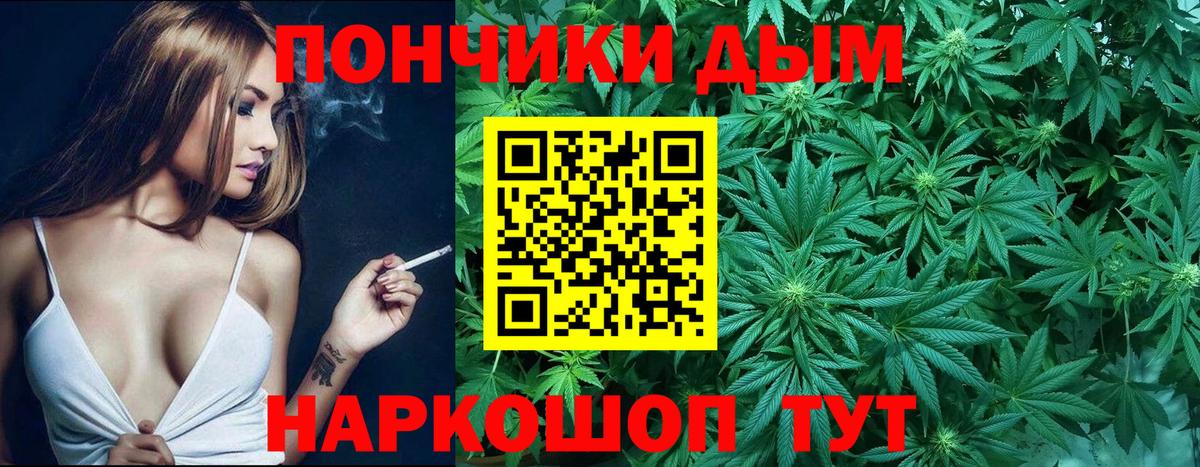 Конопля SATIVA & INDICA Петрозаводск